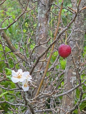 [손은수 기자의 유희] 그냥 그러려니 하세요